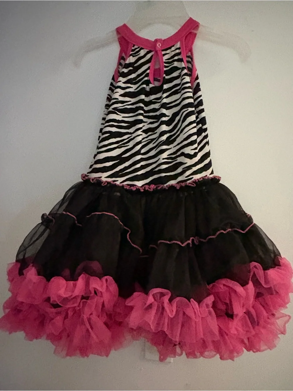 N/A sweet zebra